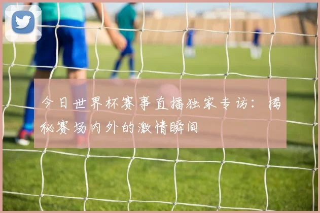 今日世界杯赛事直播独家专访:揭秘赛场内外的激情瞬间